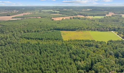 Photo #5 of LOT 4 Womack Rd., Nichols, SC 6.8 acres
