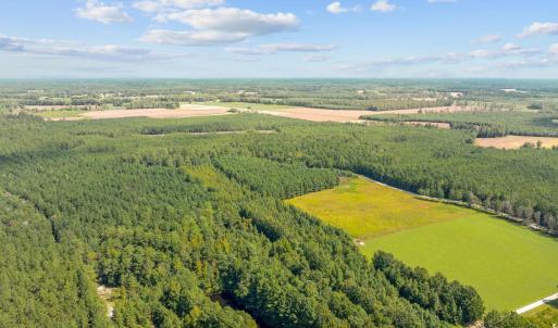 Photo #4 of LOT 4 Womack Rd., Nichols, SC 6.8 acres