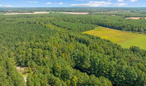 Photo #15 of LOT 4 Womack Rd., Nichols, SC 6.8 acres