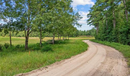 Photo #3 of LOT 4 Womack Rd., Nichols, SC 6.8 acres