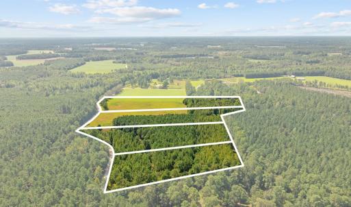 Photo #18 of LOT 4 Womack Rd., Nichols, SC 6.8 acres