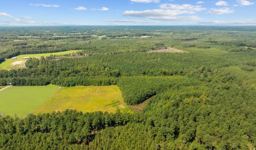 Photo #9 of LOT 4 Womack Rd., Nichols, SC 6.8 acres