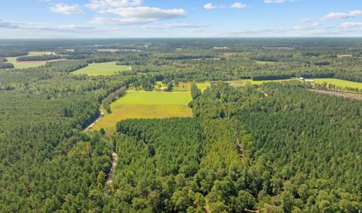 Photo #7 of LOT 4 Womack Rd., Nichols, SC 6.8 acres