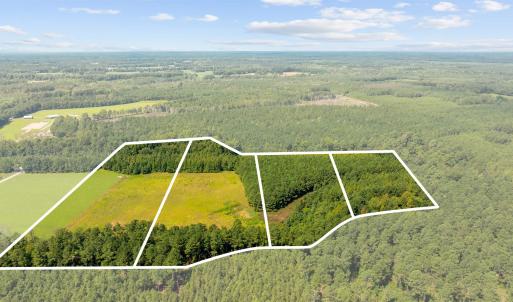 Photo #1 of LOT 4 Womack Rd., Nichols, SC 6.8 acres