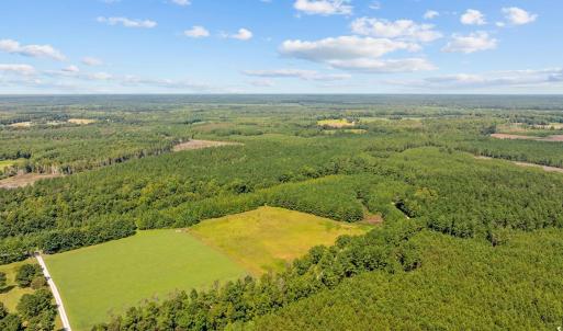 Photo #10 of LOT 4 Womack Rd., Nichols, SC 6.8 acres