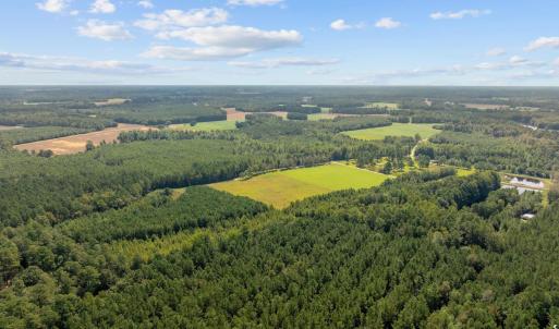 Photo #6 of LOT 4 Womack Rd., Nichols, SC 6.8 acres