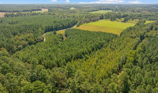 Photo #14 of LOT 4 Womack Rd., Nichols, SC 6.8 acres