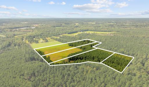 Photo #17 of LOT 4 Womack Rd., Nichols, SC 6.8 acres