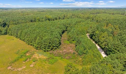 Photo #13 of LOT 4 Womack Rd., Nichols, SC 6.8 acres