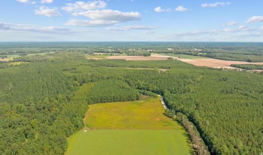 Photo #11 of LOT 4 Womack Rd., Nichols, SC 6.8 acres