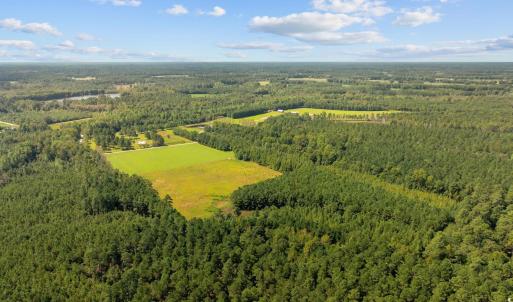 Photo #8 of LOT 4 Womack Rd., Nichols, SC 6.8 acres