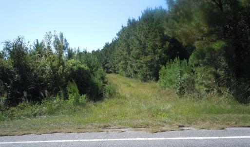 Photo #4 of TBD Near 10547 Andrew Jackson Hwy., Fair Bluff, NC 59.0 acres