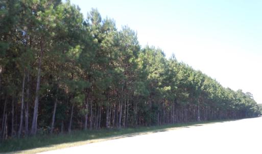 Photo #3 of TBD Near 10547 Andrew Jackson Hwy., Fair Bluff, NC 59.0 acres