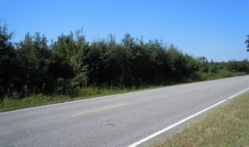 Photo #2 of TBD Near 10547 Andrew Jackson Hwy., Fair Bluff, NC 59.0 acres