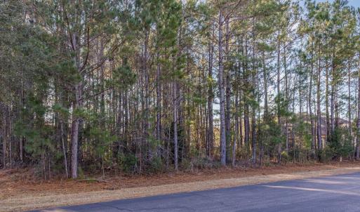 Photo #9 of 141 Planters Creek Dr., Myrtle Beach, SC 0.5 acres