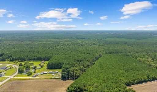 Bird's eye view of a heavily wooded area