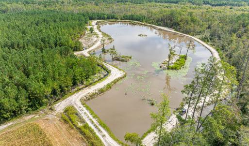 Aerial view of a heavily wooded area and a nearby