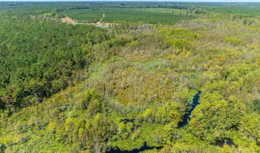Aerial view of a forest