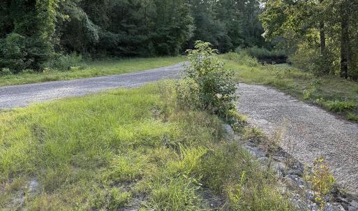Photo #4 of TBD Griffins Landing Rd., Nichols, SC 1.4 acres