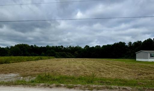 View of yard with a wooded view