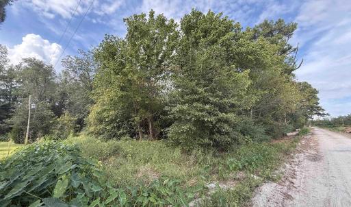 View of local wilderness