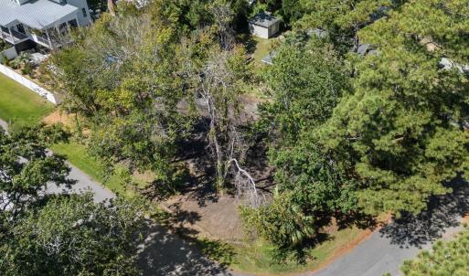 Drone / aerial view of a tree filled landscape