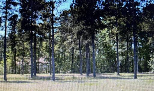Photo #1 of 116 Pottery Landing Dr., Conway, SC 0.5 acres