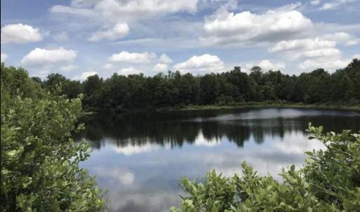 Photo #2 of Lot 2 Chow Ln., Conway, SC 3.7 acres