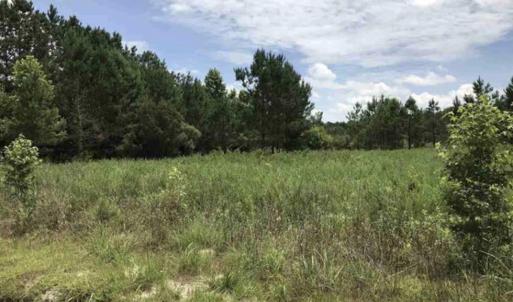 Photo #3 of Lot 2 Chow Ln., Conway, SC 3.7 acres