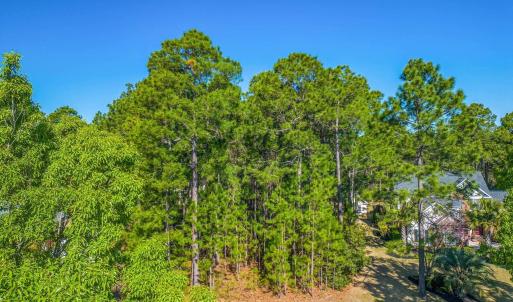 View of undeveloped land