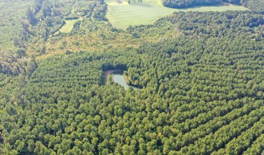 Aerial view of a heavily wooded area
