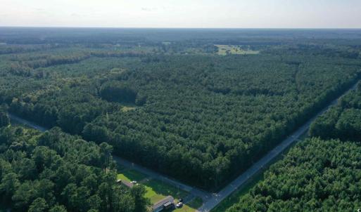 Photo #1 of Powell Loop, Andrews, SC 117.6 acres