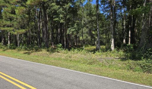 Photo #5 of TBD Allen Dew Rd., Conway, SC 3.0 acres