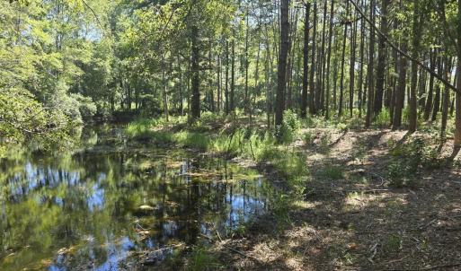 Photo #8 of TBD Allen Dew Rd., Conway, SC 3.0 acres