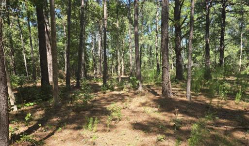 Photo #7 of TBD Allen Dew Rd., Conway, SC 3.0 acres