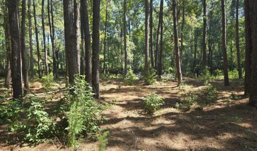 Photo #1 of TBD Allen Dew Rd., Conway, SC 3.0 acres