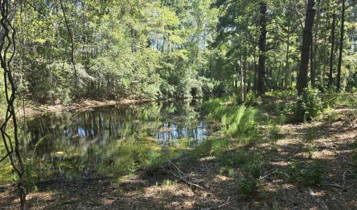 Photo #3 of TBD Allen Dew Rd., Conway, SC 3.0 acres