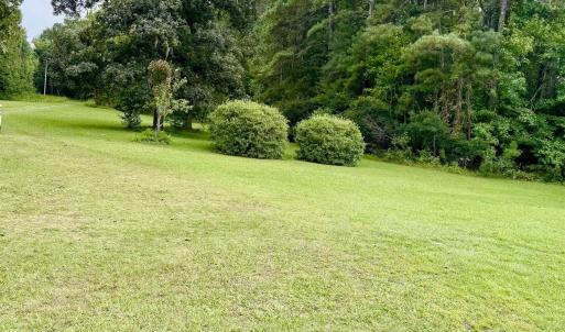 View of green lawn
