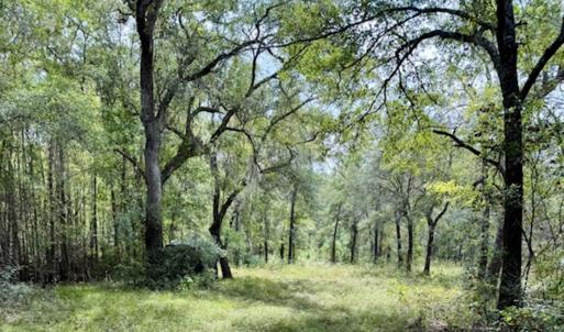 Photo #1 of 140 Waccamaw River Dr., Conway, SC 2.2 acres