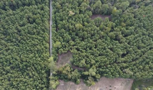 Photo #8 of TBD Oglethorpe Dr., Andrews, SC 4.7 acres