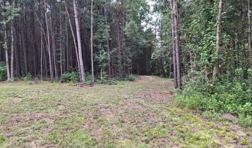 Photo #3 of TBD Oglethorpe Dr., Andrews, SC 4.7 acres