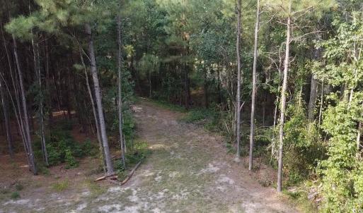 Photo #15 of TBD Oglethorpe Dr., Andrews, SC 4.7 acres