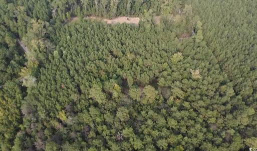 Photo #10 of TBD Oglethorpe Dr., Andrews, SC 4.7 acres