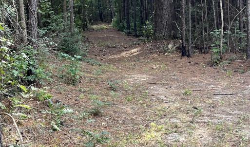 Photo #2 of TBD Oglethorpe Dr., Andrews, SC 4.7 acres