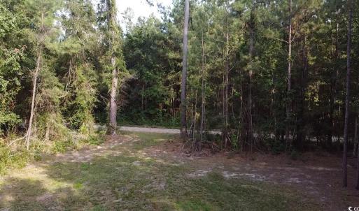 Photo #13 of TBD Oglethorpe Dr., Andrews, SC 4.7 acres
