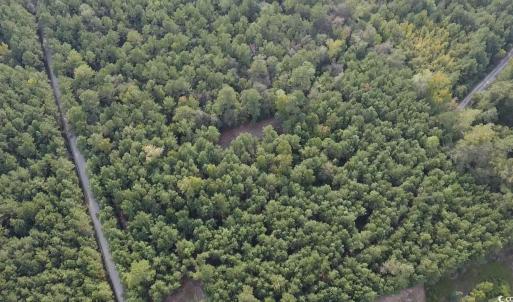 Photo #7 of TBD Oglethorpe Dr., Andrews, SC 4.7 acres