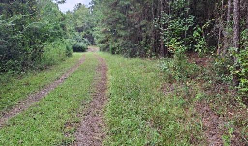 Photo #6 of TBD Oglethorpe Dr., Andrews, SC 4.7 acres