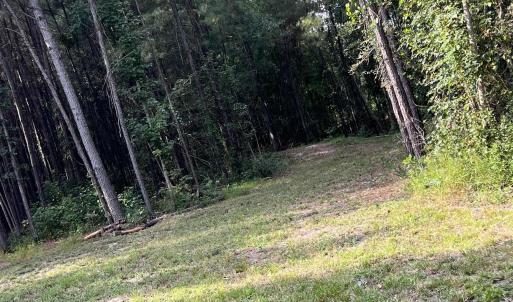 Photo #1 of TBD Oglethorpe Dr., Andrews, SC 4.7 acres