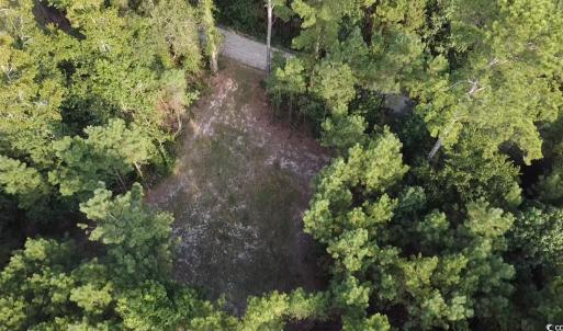 Photo #9 of TBD Oglethorpe Dr., Andrews, SC 4.7 acres