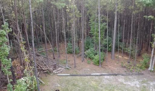 Photo #14 of TBD Oglethorpe Dr., Andrews, SC 4.7 acres